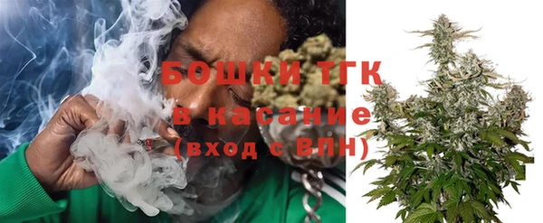 прущие грибы Краснотурьинск