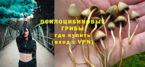 соль ск Абаза