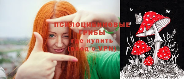 бошки Алзамай