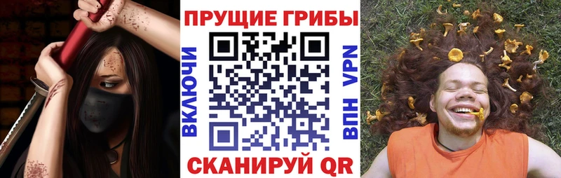 Галлюциногенные грибы MAGIC MUSHROOMS  блэк спрут ССЫЛКА  Искитим 