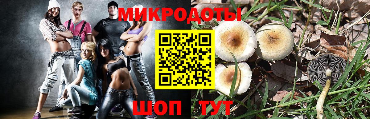 Галлюциногенные грибы мицелий  Вход с VPN  Искитим 