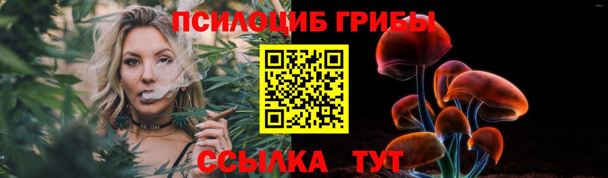 Галлюциногенные грибы Cubensis Искитим